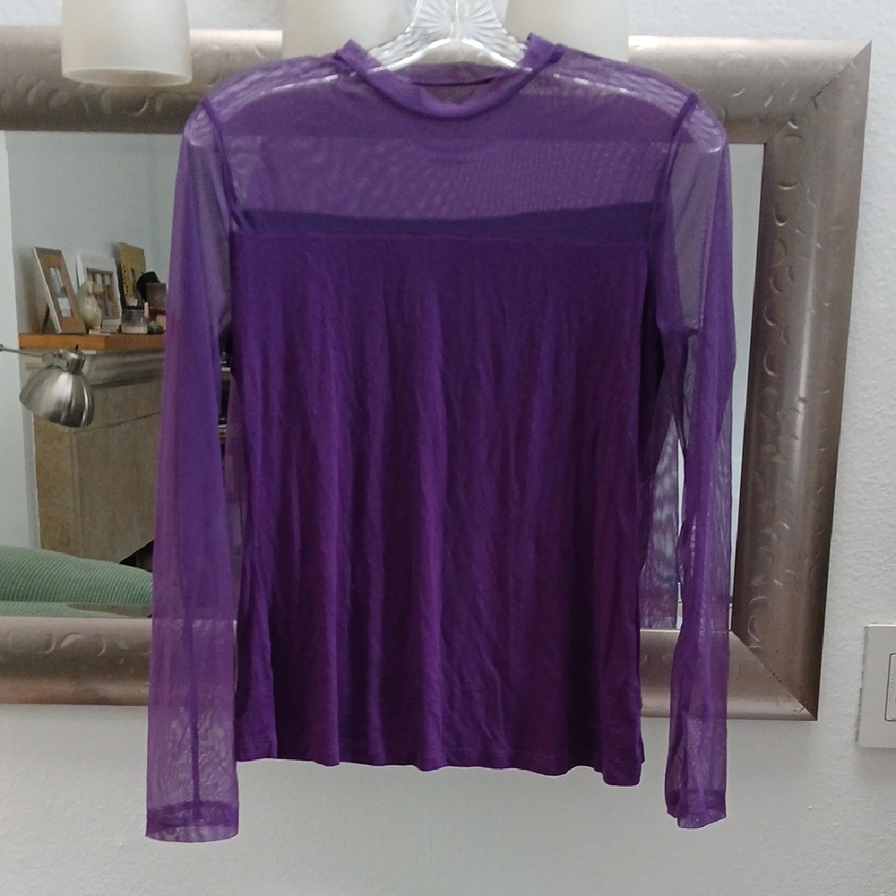 Purple Sheer Long Sleeve Blouse
